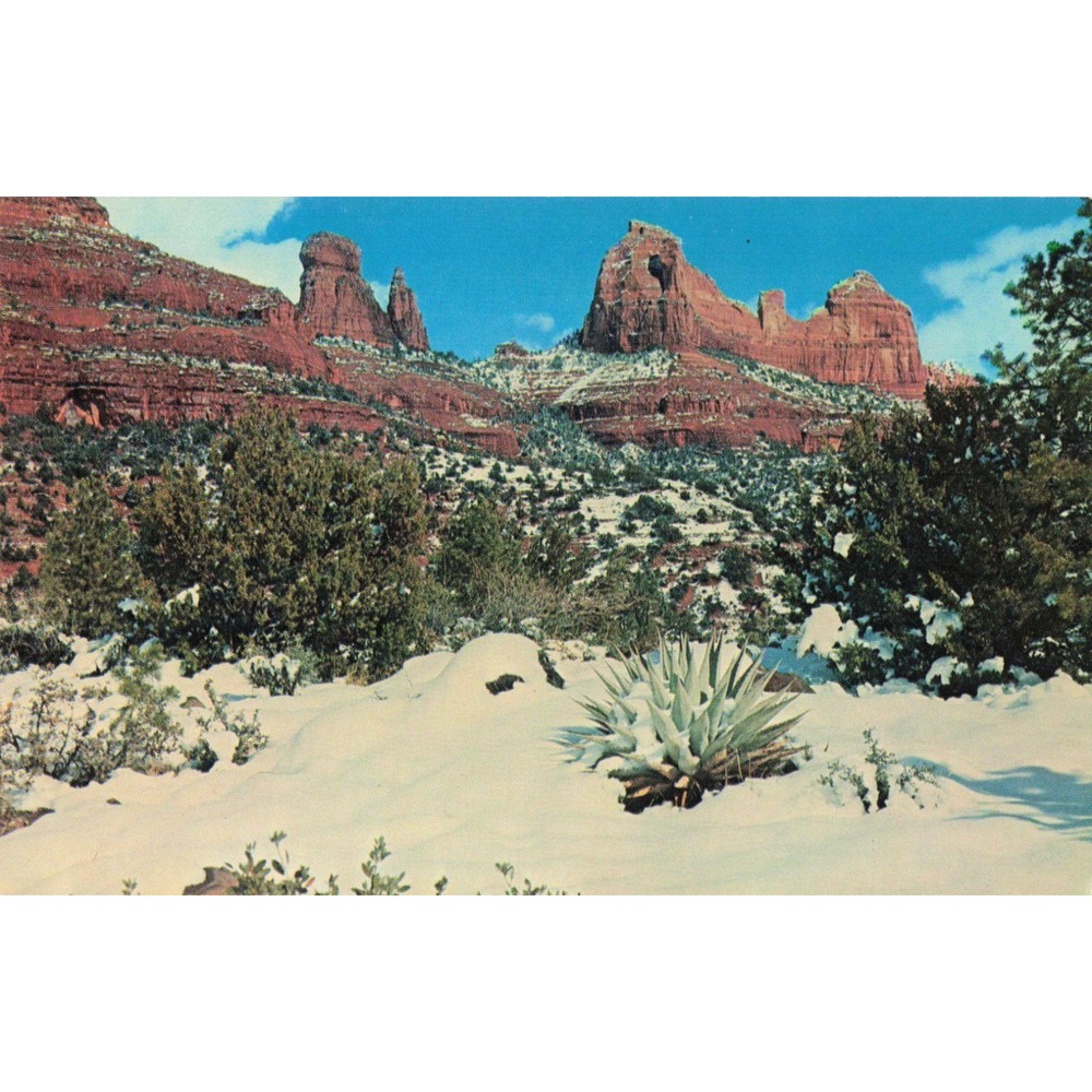 1965 Sedona Arizona Oak Creek Canyon Winter Red Rock Postcard Bob Bradshaw